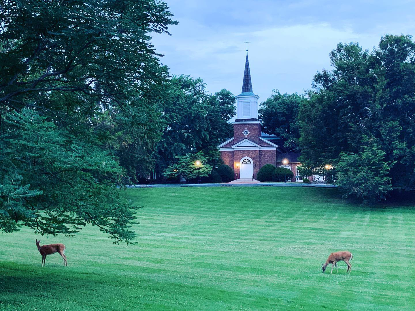 St. Francis in the Fields church framed by trees across the lawn.